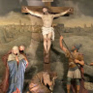 Meet your Posher, Wayne